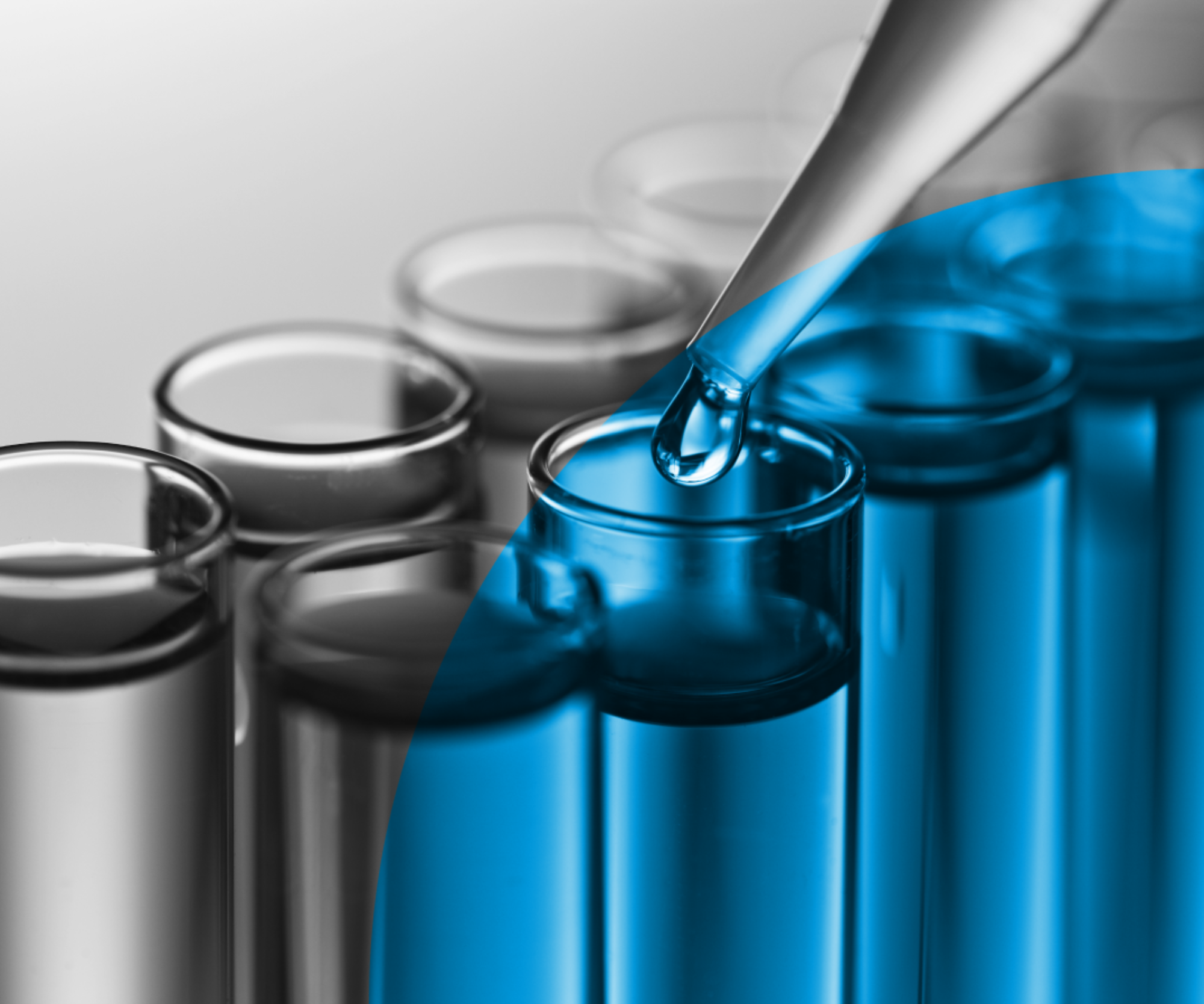 VML Industries Rectangle 6